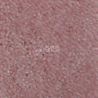 Ковролин Serene Beaulieu of America 28 фото 1 | FLOORDEALER