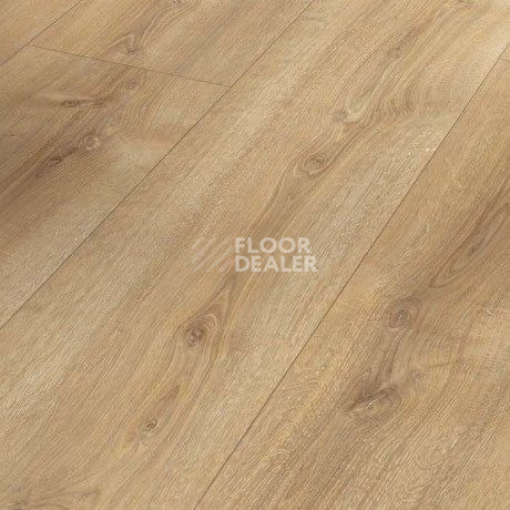 Ламинат Parador Basic Plus 600 XS 1744352 Дуб Нова Холоден фото 1 | FLOORDEALER