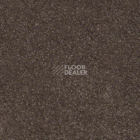 Ковролин Shaw Design Texture Platinum 723 фото 1 | FLOORDEALER