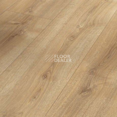 Ламинат Parador Basic Plus 600 XS 1744352 Дуб Нова Холоден фото 1 | FLOORDEALER