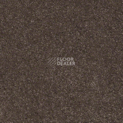 Ковролин Shaw Design Texture Platinum 723 фото 1 | FLOORDEALER