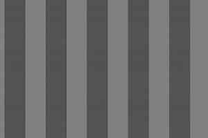 Ковролин Big Carus Sunrise 008-25158 фото  | FLOORDEALER