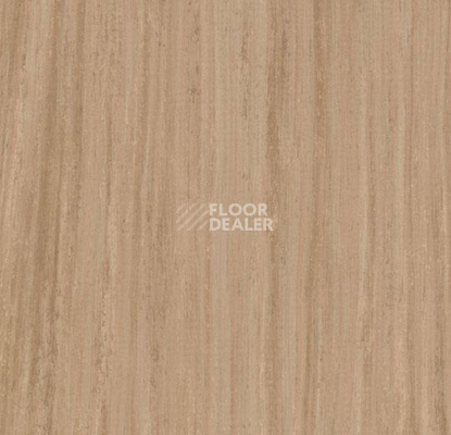 Кварцвиниловые полы Marmoleum Modular Lines 5235 фото 1 | FLOORDEALER