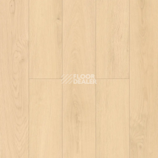 Ламинат Tulesna Selene 12мм LF502-01 Кения фото 1 | FLOORDEALER
