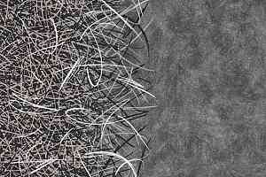 Ковролин Flotex by Starck Vortex 314001 Vortex White a4 фото  | FLOORDEALER