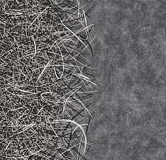 Ковролин Flotex by Starck Vortex 314001 Vortex White a4 фото 1 | FLOORDEALER