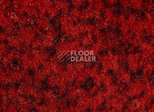 Forbo Coral Classic 4763 Ruby Red фото 2 | FLOORDEALER