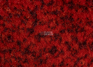 Forbo Coral Classic 4763 Ruby Red фото 2 | FLOORDEALER