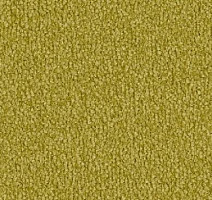 Ковролин Vorwerk Safira 2d81 фото 1 | FLOORDEALER