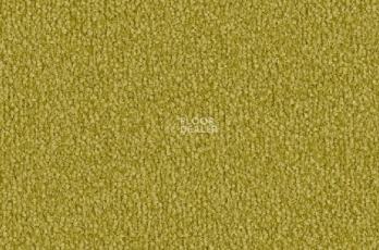 Ковролин Vorwerk Safira 2d81 фото 1 | FLOORDEALER