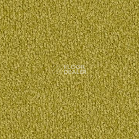 Ковролин Vorwerk Safira 2d81 фото 1 | FLOORDEALER