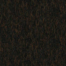 Desso Lita Desso Lita 2951 фото 1 | FLOORDEALER