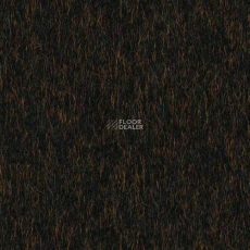 Desso Lita Desso Lita 2951 фото 1 | FLOORDEALER