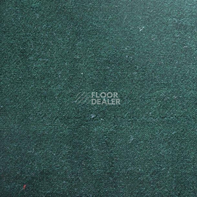 Ковролин Дюна Тафт Плеяда 550 963 фото 1 | FLOORDEALER