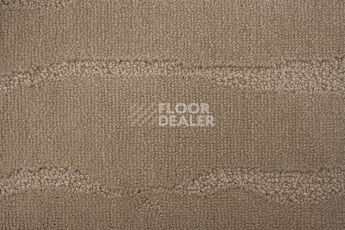 Standard Carpets Arabian Desert 1395 фото 3 | FLOORDEALER