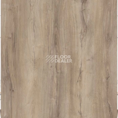 Кварцвиниловые полы Apoluza Wood Meadow Oak фото 1 | FLOORDEALER
