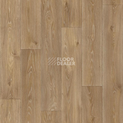 Линолеум Tarkett Комфорт Spenser 4 фото 1 | FLOORDEALER