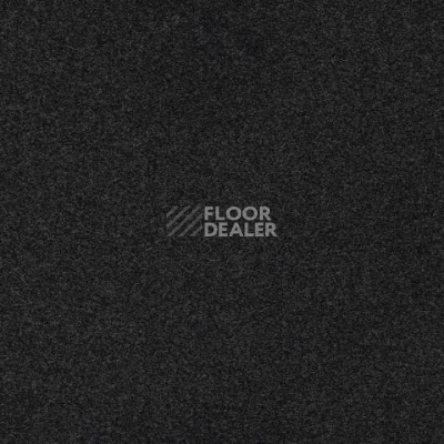 Ковролин Gleam W2W 966 Gleam w2w фото 1 | FLOORDEALER
