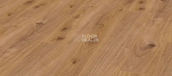 Ламинат Kronotex Exquisit 8мм d4169 Дуб Престиж Светлый фото 1 | FLOORDEALER