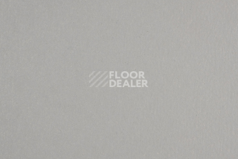 Линолеум Forbo Marmoleum Solid Walton 171-17135 cement фото 1 | FLOORDEALER