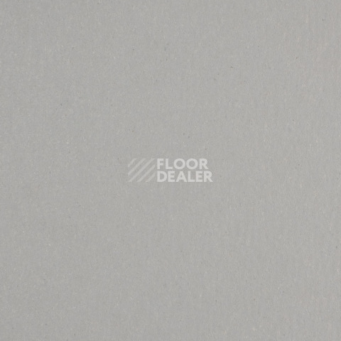 Линолеум Forbo Marmoleum Solid Walton 171-17135 cement фото 1 | FLOORDEALER
