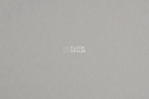 Линолеум Forbo Marmoleum Solid Walton 171-17135 cement фото 1 | FLOORDEALER