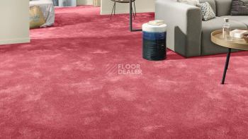 Vorwerk Superior 1064/Lyrica Vorwerk 1n44 фото 2 | FLOORDEALER