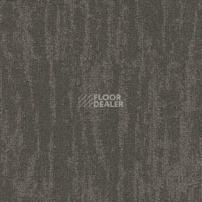 Ковровая плитка Modulyss Willow Willow 850 фото 1 | FLOORDEALER