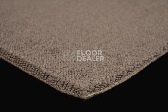 Lano Sense Pure 989 фото 5 | FLOORDEALER