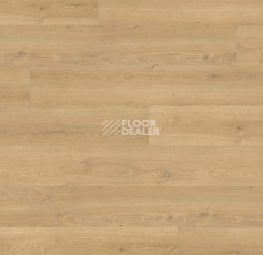 Ламинат Haro Tritty 100 Gran Via 4V Дуб Флавия Пуро 544735 фото 1 | FLOORDEALER