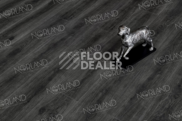 Виниловая плитка ПВХ Norland Neowood 8мм Templet 2001-9 фото 2 | FLOORDEALER