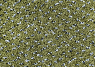 AW Magma 29 фото 3 | FLOORDEALER