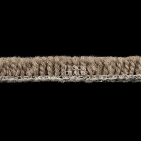 Standard Carpets Arabian Desert 1395 фото 5 | FLOORDEALER