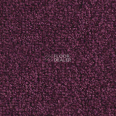 Ковролин Balsan Scenario 890 фото 1 | FLOORDEALER