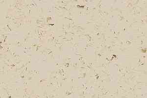 Кварцвиниловые полы Forbo Allura Colour C68012 фото  | FLOORDEALER