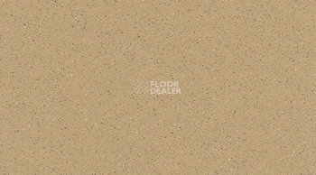 Линолеум Tarasafe Plus 7302_Sahara фото 1 | FLOORDEALER