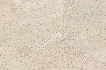 Пробковое покрытие Cork Pro Fantasie Milk фото 1 | FLOORDEALER