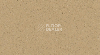 Линолеум Gerflor Tarasafe Plus 7302_Sahara фото 1 | FLOORDEALER