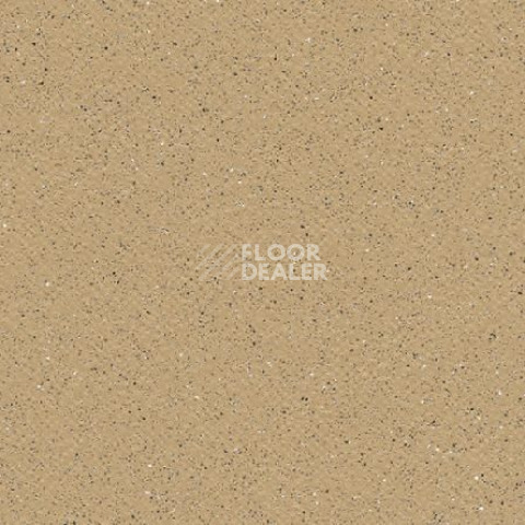 Линолеум Gerflor Tarasafe Plus 7302_Sahara фото 1 | FLOORDEALER