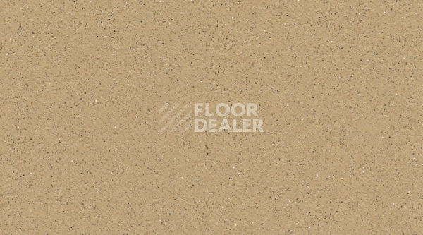 Линолеум Gerflor Tarasafe Plus 7302_Sahara фото 1 | FLOORDEALER