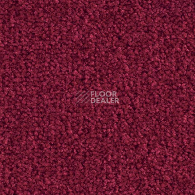 Ковролин Balsan Bolero 570 фото 1 | FLOORDEALER