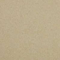 Линолеум Lg Trendy TD12505 фото 1 | FLOORDEALER