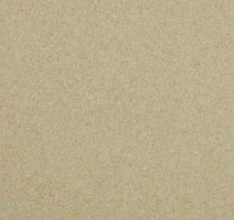 Линолеум Lg Trendy TD12505 фото 1 | FLOORDEALER