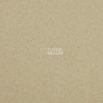 Линолеум Lg Trendy TD12505 фото 1 | FLOORDEALER