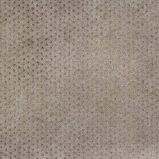 Линолеум Grabo Diamond Standart Talent 4313-470-4 фото 1 | FLOORDEALER