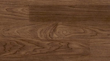 Линолеум Taraflex Multi-Use 6.2 Wood 8069_Wood_Chocolate фото 1 | FLOORDEALER
