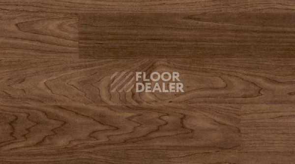 Линолеум Gerflor Taraflex Multi-Use 6.2 Wood 8069_Wood_Chocolate фото 1 | FLOORDEALER