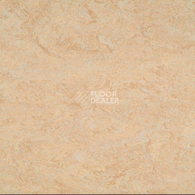 Линолеум Marmorette DLW 2.5mm 121-040 фото 1 | FLOORDEALER