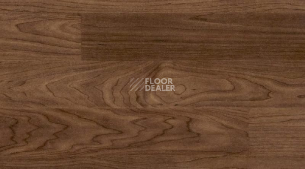 Линолеум Taraflex Multi-Use 6.2 Wood 8069_Wood_Chocolate фото 1 | FLOORDEALER