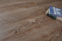 Evofloor Optima Click 4.2мм Дуб Бронза фото 3 | FLOORDEALER